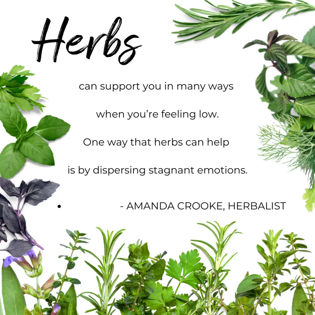 Herbs can support you in many ways when you're feeling low. One way that herbs can help is by dispersing stagnant emotions. -Amanda Crooke, Herbalist