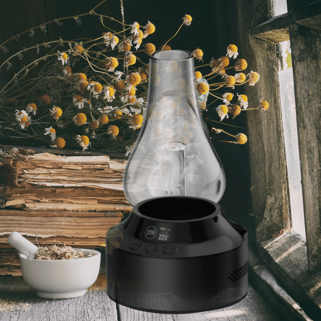 AirTea Kettle in windowsill with Chamomile and mortar pestle